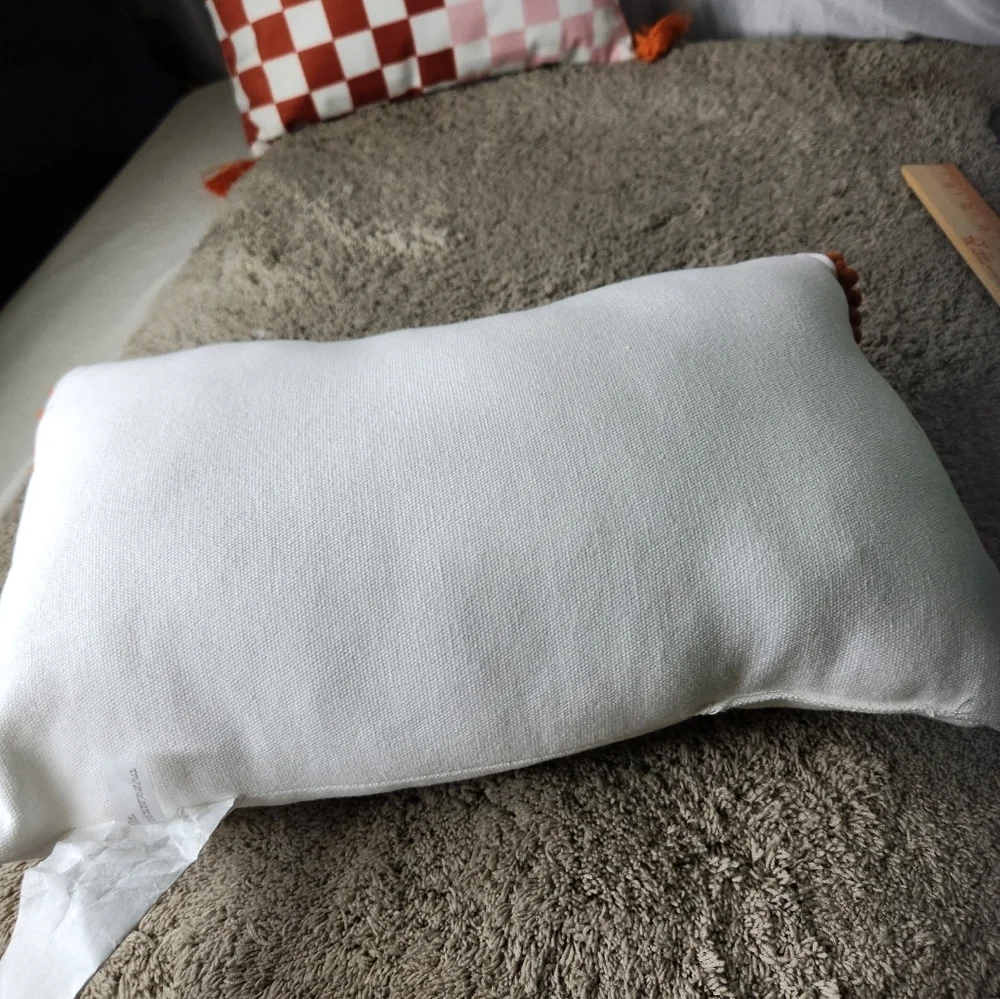 2 Fall Decorative Pillows (1 Pumpkin Pillow & 1 Orange Squares Pillow)